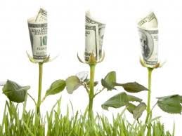 В проект Павла Матвиенко Chooos инвестировал $350 тыс. российский венчурный фонд